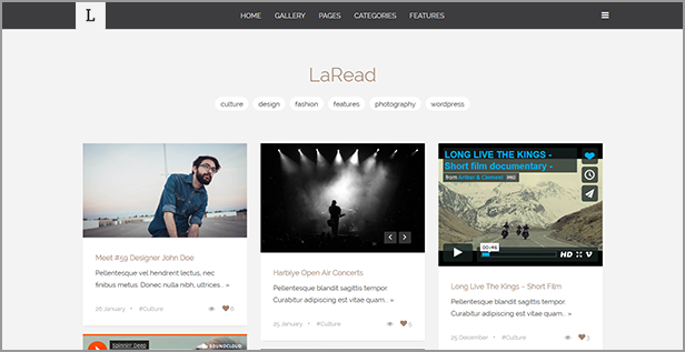 LaRead — WordPress Blog Theme - 15